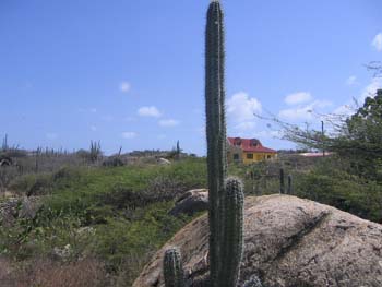 aruba