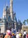 Disney2008Honeymoon