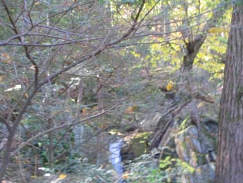 FallFoliage2008