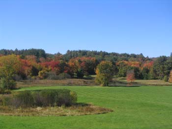 FallFoliage2008