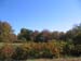 FallFoliage2008