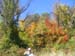 FallFoliage2008