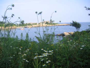 maine2005
