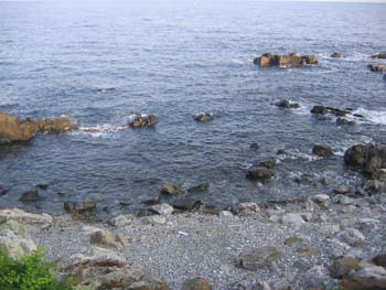 maine2005